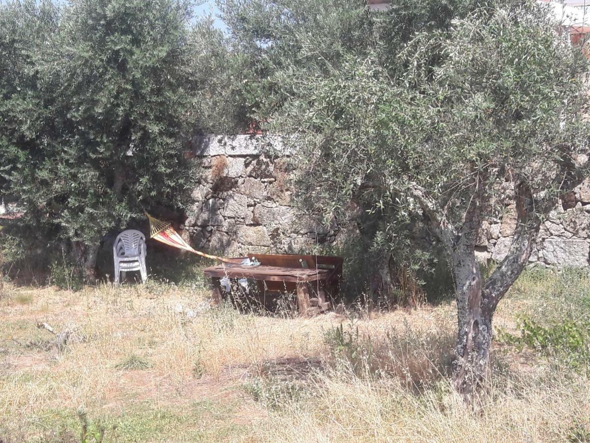 Hébergement de vacances Casa Do Beirado *